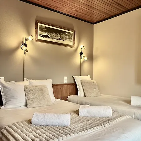 Le Chaney - T2 Dans - Massif Du Mont-blanc *