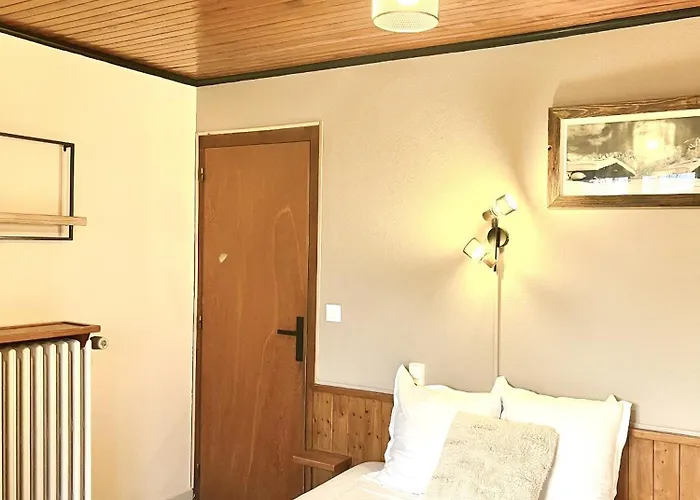 Le Chaney - T2 Dans - Massif Du Mont-blanc Chamonix