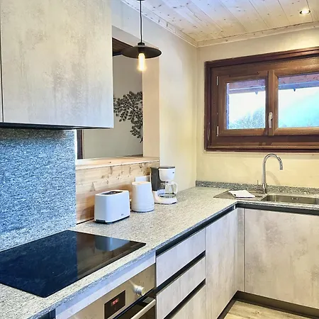 Le Chaney - T2 Dans - Massif Du Mont-blanc * Chamonix