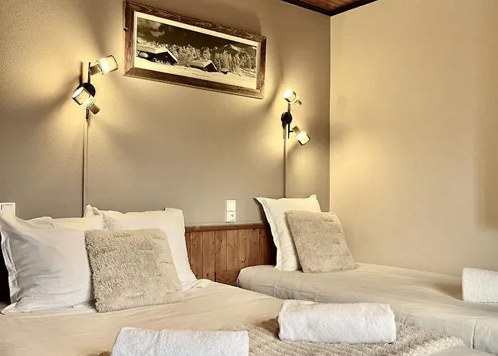 Le Chaney - T2 Dans - Massif Du Mont-blanc *