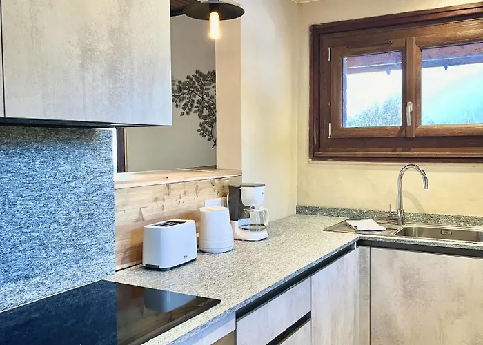 Le Chaney - T2 Dans - Massif Du Mont-blanc * Chamonix