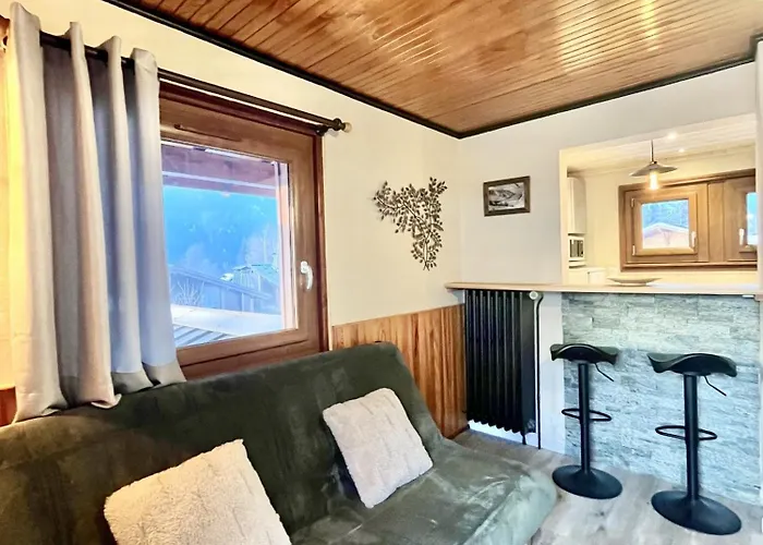 Appartement Le Chaney - T2 Dans - Massif Du Mont-blanc Chamonix